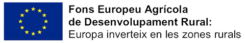 Logo Fons Europeu